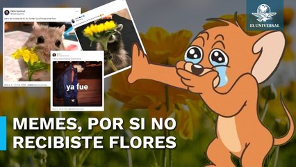 Los mejores memes del día de las flores amarillas