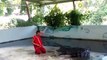 Thai zookeeper puts head in croc’s mouth, croc takes a bite