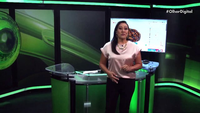 Corpos celestiais e animais gravuras rupestres descobertas no Brasil