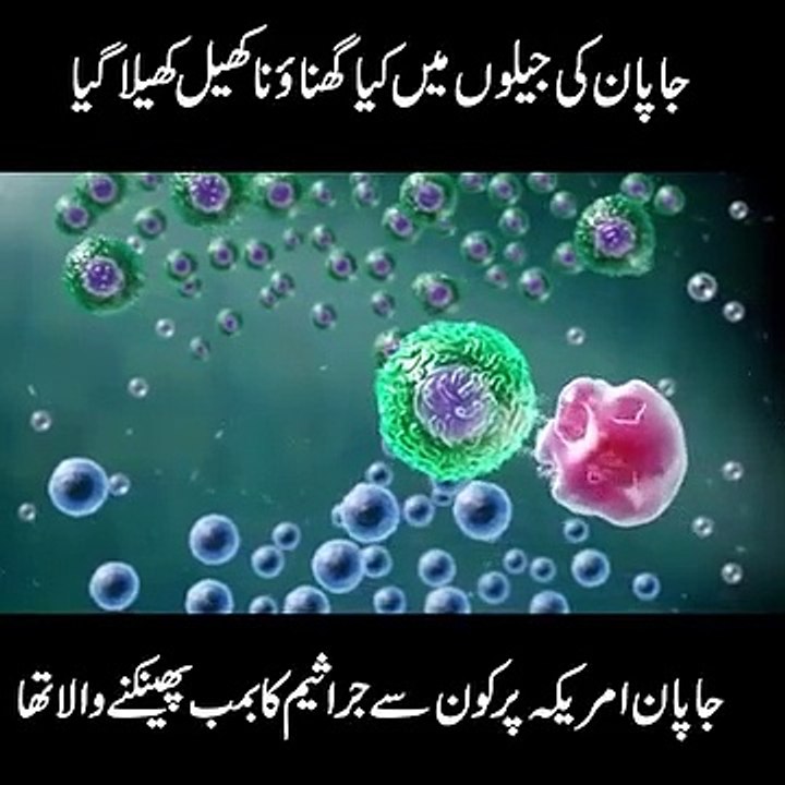 What_a_hideous_game_was_played_in_Japan__Urdu__japan is not innocent