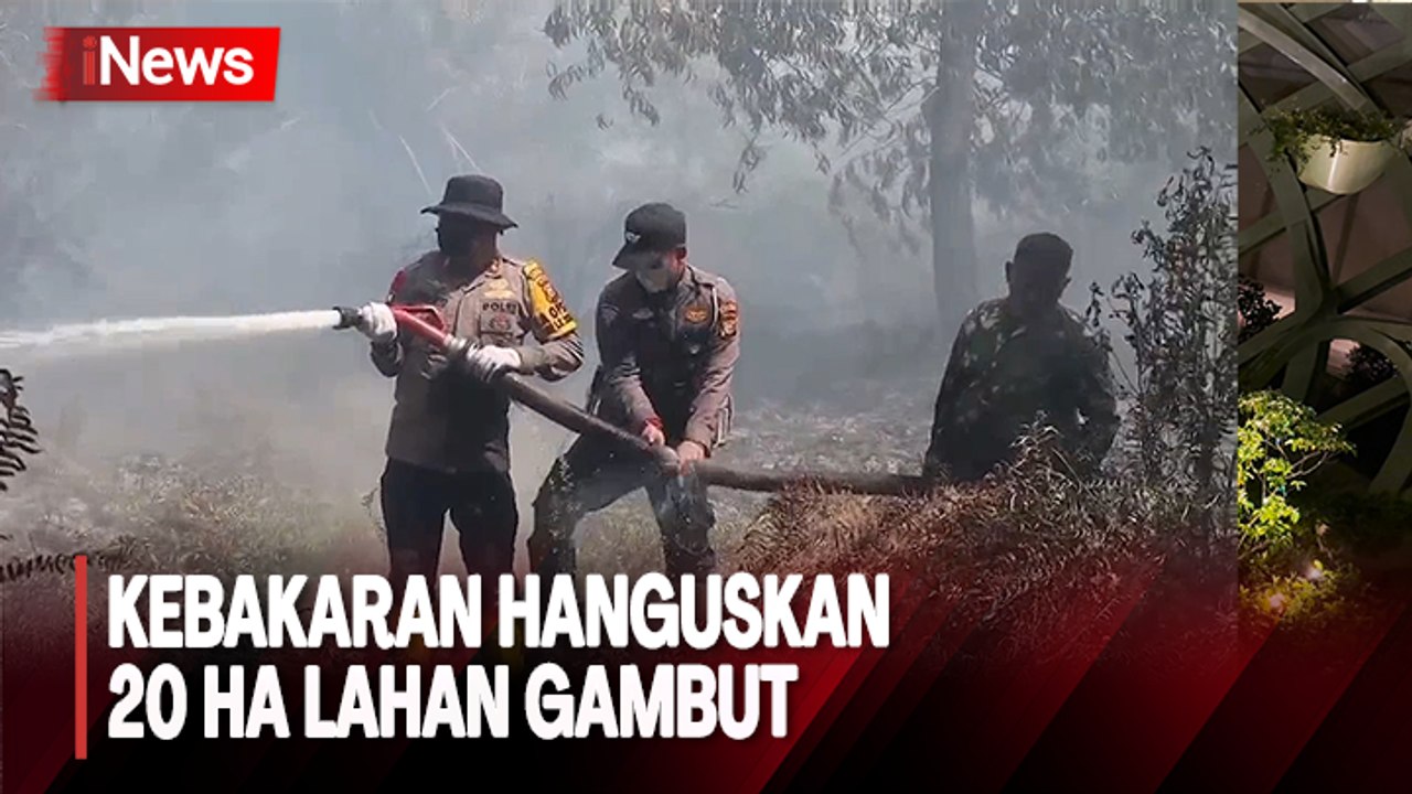 20 Ha Lahan Gambut di Pelalawan Hangus Terbakar, Petugas Gabungan Berjibaku Padamkan Api