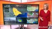 Storms strike parts of the South with severe weather