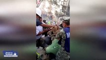 Momento que  Rescatan a perrito atrapado en escombros en la CDMX
