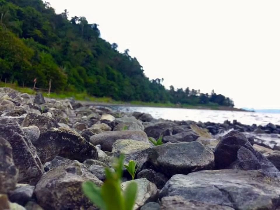 Lake resort