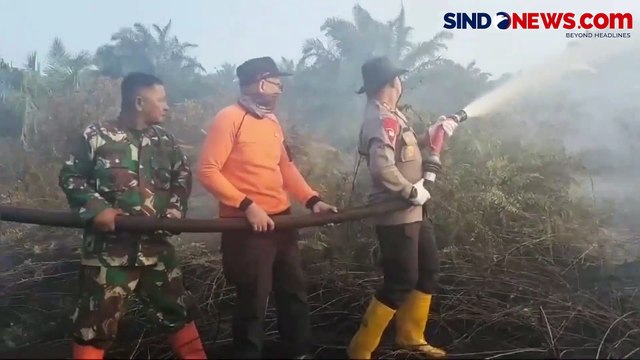 Petugas Gabungan Berjibaku Padamkan Kebakaran yang Hanguskan 20 Ha Lahan Gambut di Pelalawan