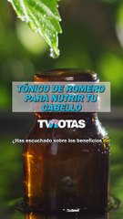 Tónico de romero para nutrir tu cabello