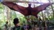Aparece un murciélago gigante de casi 2 metros en Filipinas