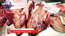 Estudio revela que venden carne de caballo en lugar de res en Mexico