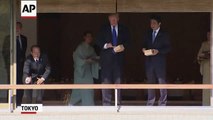 Trump, Abe Dump Fish Food in Tokyo Carp Pond