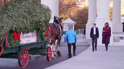 First Lady Melania Trump and Barron Trump Receive the White House Christmas Tree