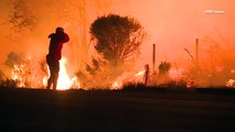 #VIRAL: Hombre arriesga su vida para salvar a un conejo durante incendios en California