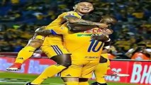 Tigres CAMPEÓN CELEBRACIÓN