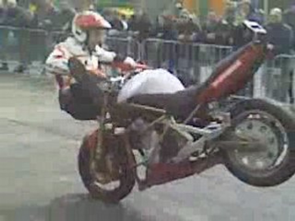 ZOLTAN a hombourg-haut