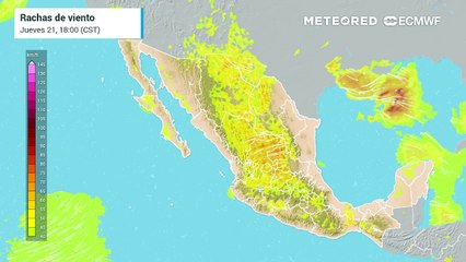 Ráfagas de viento en km/h: temporal se pronostica este fin de semana