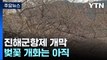 '연분홍빛 향연' 진해군항제 개막...벚꽃 개화는 아직 / YTN