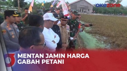 Tinjau Sawah Terendam Banjir di Kendal, Mentan Jamin Harga Gabah Petani