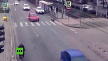 Perro Provoca un accidente automovilistico