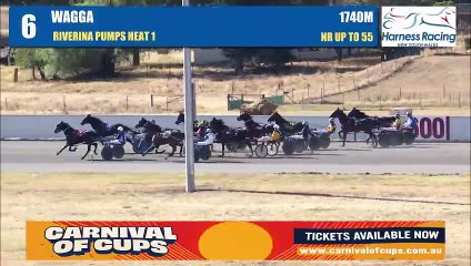 More Gooda Delivers Double Victory for Rodney Coelli 🏆