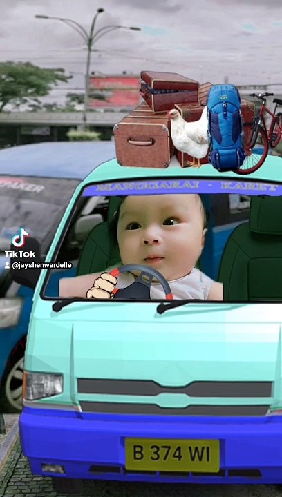 tiktok ni wardelle