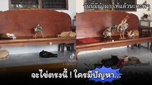 จะออกไข่ตรงนี้ แล้วใครจะทำไม...