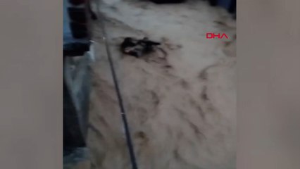 Cizre’de sele kapılan 2 kişinin korku dolu anları kamerada