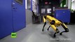 El robot SpotMini de Boston Dynamics muestra su nueva habilidad