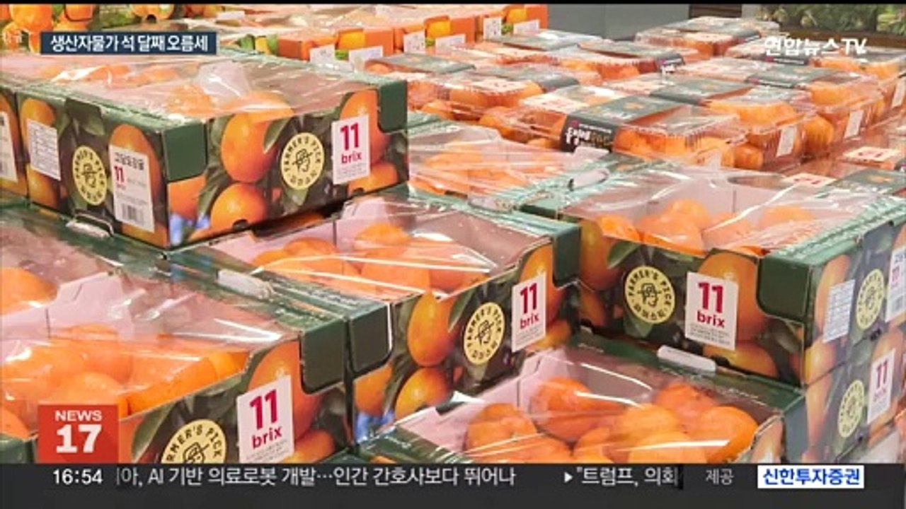 과일·채소 가격 비상…생산자 물가 3개월 연속 상승
