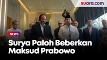 Usai Pertemuan, Surya Paloh dan Prabowo Sebut Persahabatan hingga Kesempatan Baik