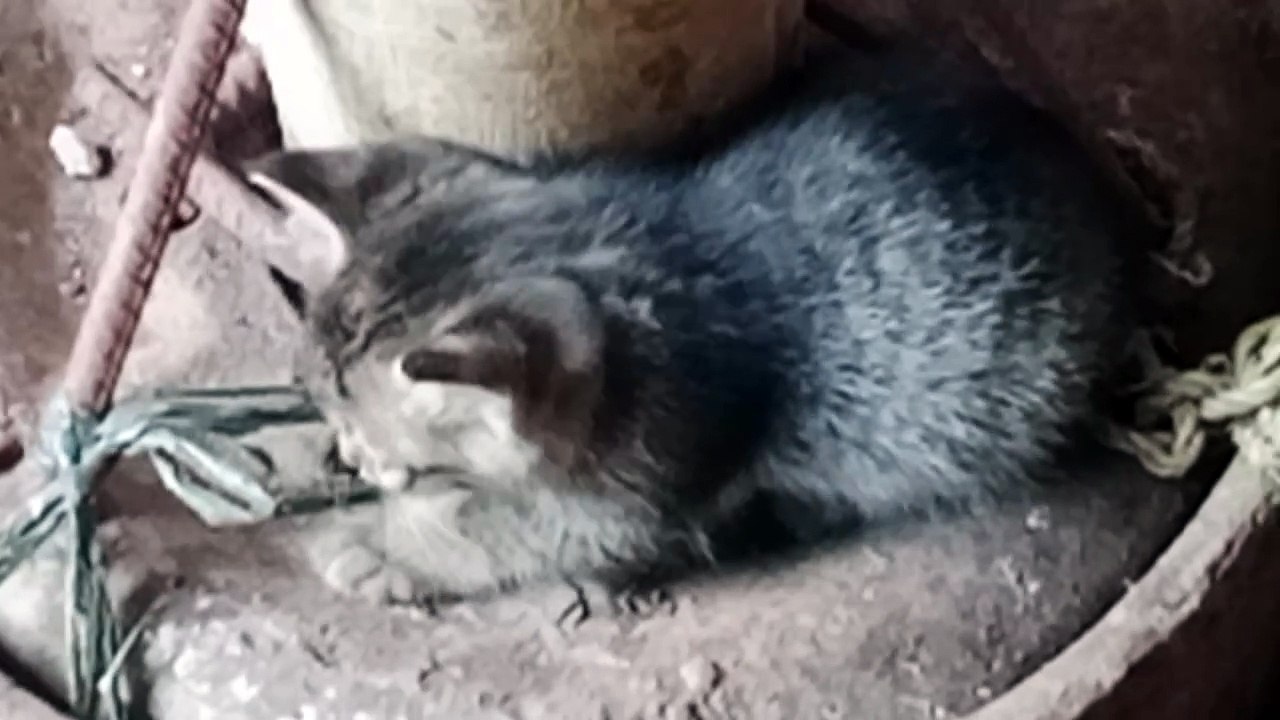 so cute