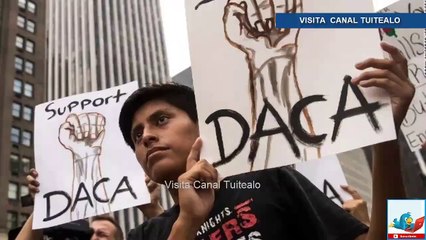 Juez federal ordena a Donald Trump reactivar el DACA