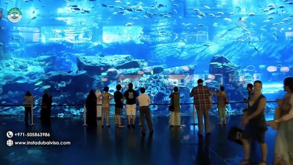 Top 5 Must Visit Places In Dubai 2024