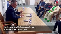 Antalya'da mahalle toplantısında kedi masaya çıktı, başkan adayının anlattığı proje dikkat çekti