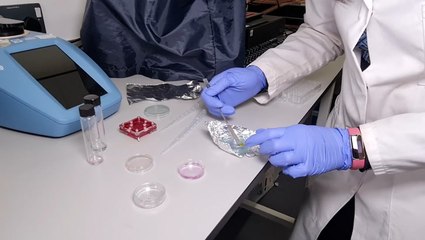 Watch: Scientists develop flavoured lollipops to help diagnose mouth cancer