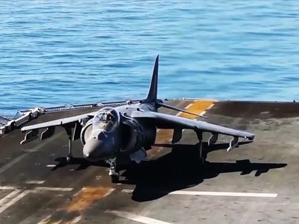 "Sky Soar: The Viral Surge of the Harrier Jump Jet"