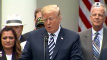 Donald Trump signs the VA Mission Act of 2018