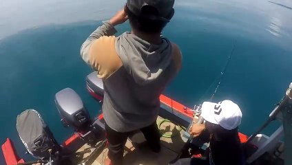 Lagi joget tiba-tiba....