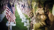 Memorial Day 2018 - Tribute to My Fallen Brothers & Sisters