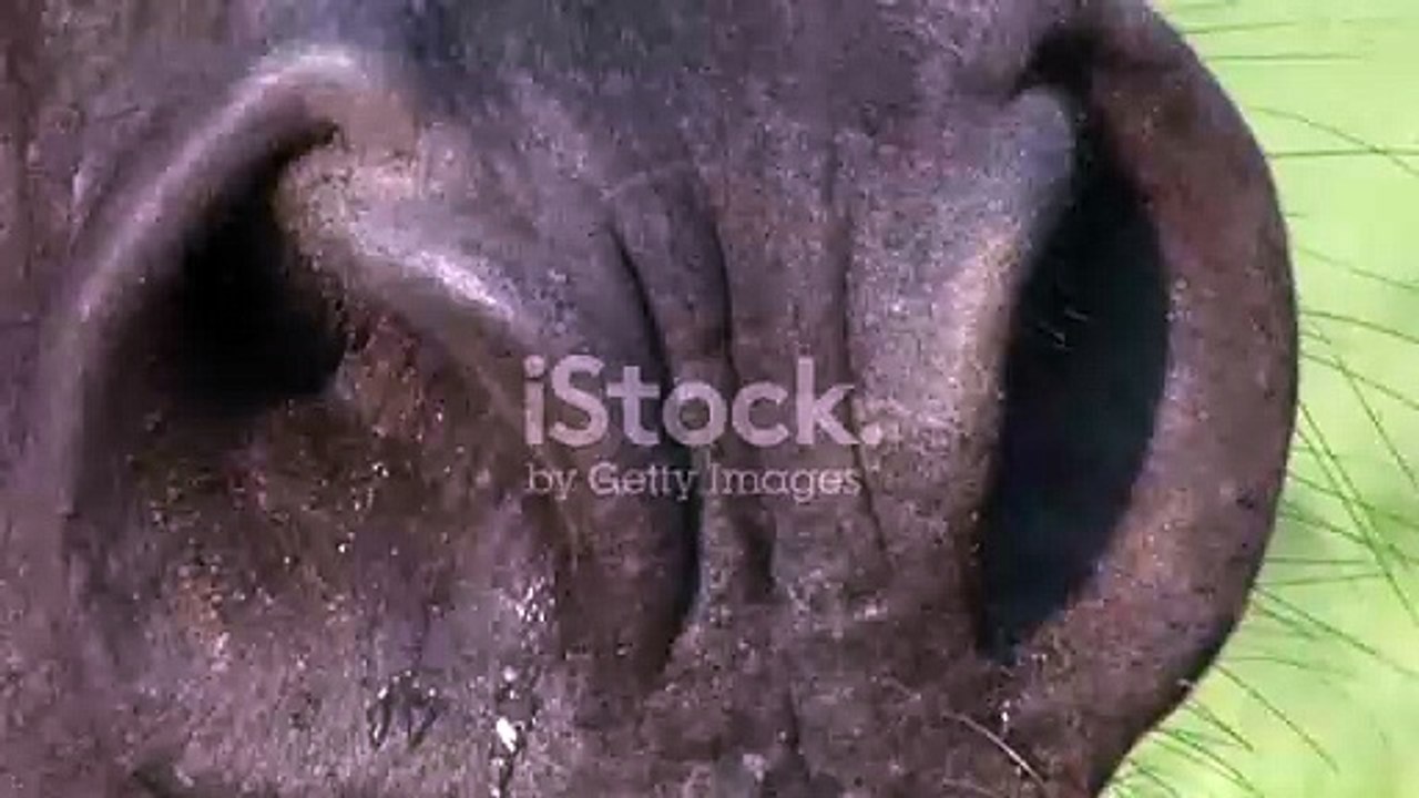 istockphoto-112212505-640_adpp_is