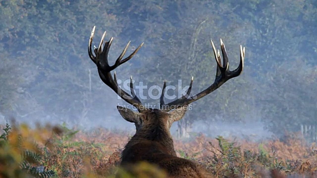 istockphoto-473083503-640_adpp_is