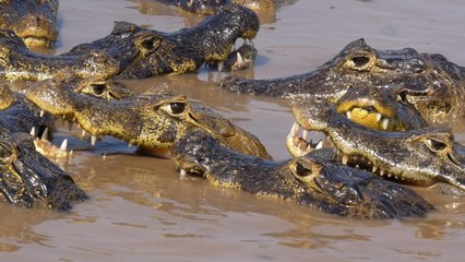 La légende d'Akam vidéo bande annonce