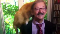 Gato interrumpe entrevista en vivo de académico y se vuelve Viral