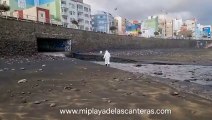 Vídeo de barranquera en Las Canteras / TINO ARMAS