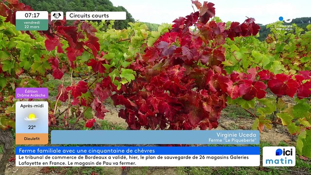 A Sanilhac, Gaec Le Piqueberle , ses chèvres et vaches, ses fromages, confitures, châtaignes et vins