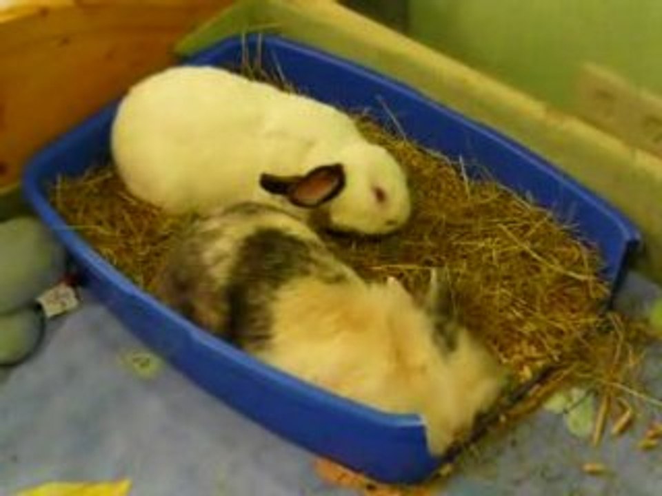 Katy und Fiasco