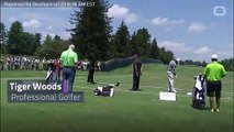 Tiger Whacks A Fan With Ball