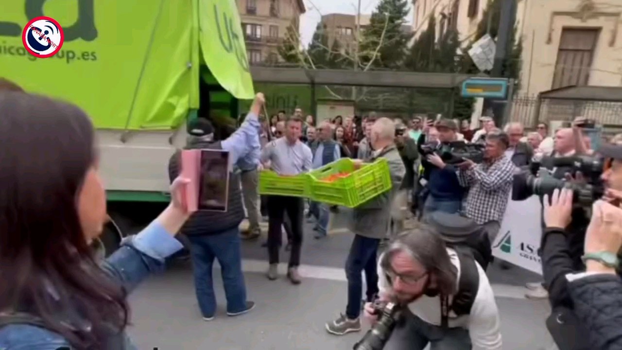 Lanzan tomates cherrys ante la Delegación del Gobierno de la Junta en Granada