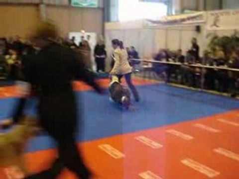 Byron la roche sur yon 2008