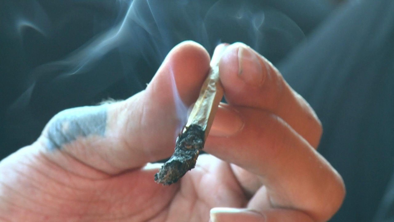 Deutscher Bundesrat stimmt Cannabisgesetz zu