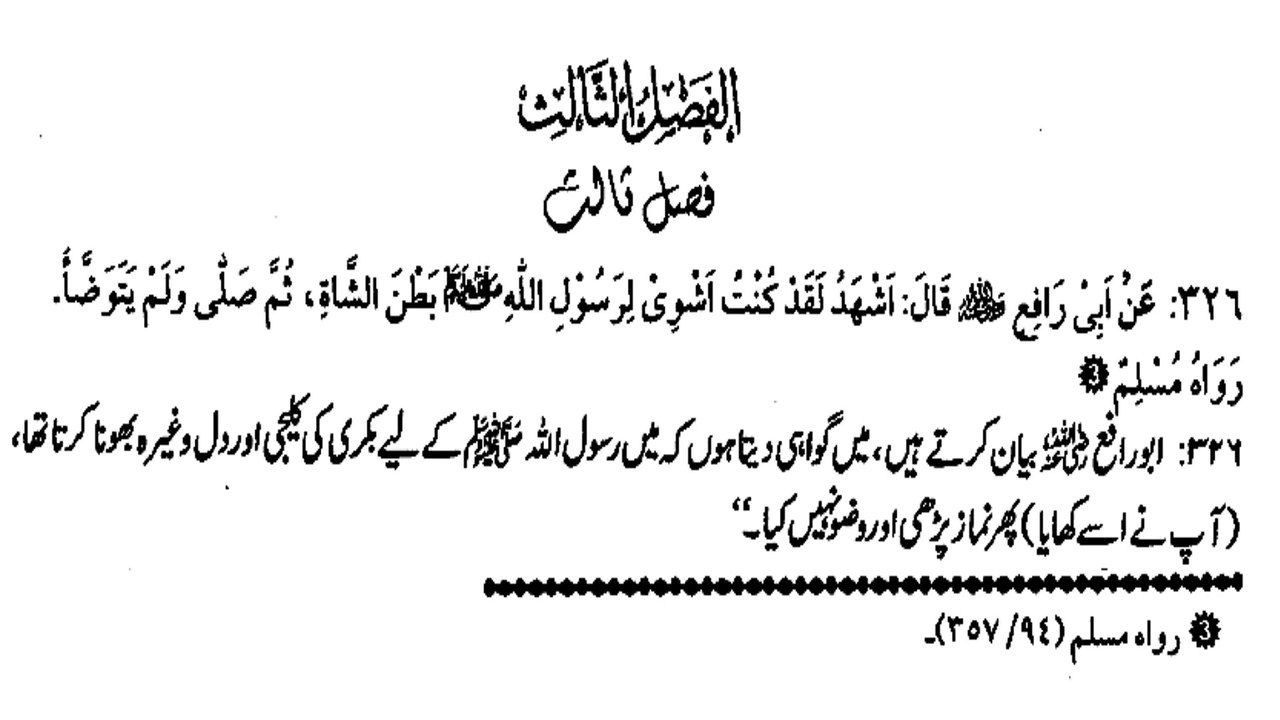 KYA RASOOL ALLAH (ASW) KALEJI KHANE KE BAAD WAZU KARTE THE ? (326)