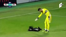 Dog interrupts soccer game, wants belly rubs